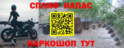 каннабис Малгобек